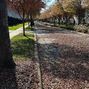 Meet your Posher, Lora